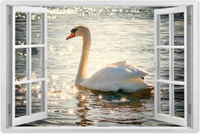 Poszterek 120x80 Hattyú a tavon