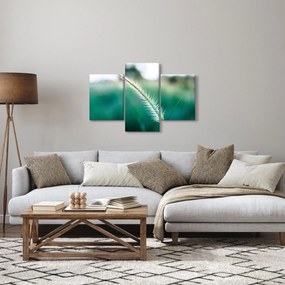 Fűszál képe (90x60 cm)