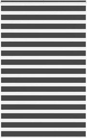 vidaXL zebrafüggönnyel fekete szövetszélesség 145,9 cm poliészter