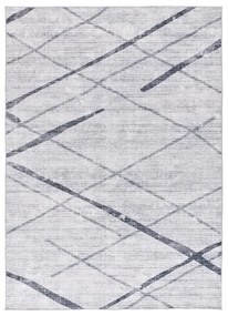 Világosszürke szőnyeg 200x290 cm Class – Universal
