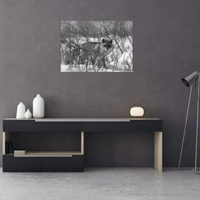 Kép - Róka télen (70x50 cm)