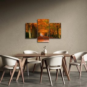 Kép - A Avenue of fák ősszel (90x60 cm)