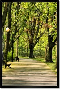 Poszterek keretben 40x60 Citadella park