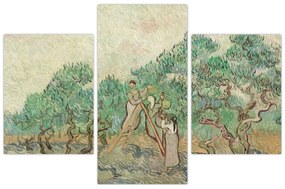 Kép - Vincent van Gogh, The Olive Orchard, reprodukciók (90x60 cm)