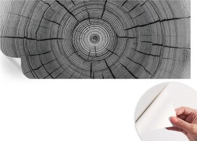 Fotótapéta Fali tapéta Hálószobába és Nappaliba Erdei harmónia 250x104 cm