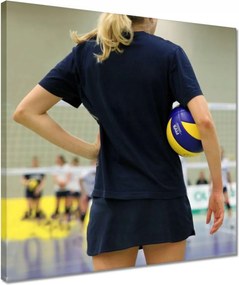 Vászonkép 40x40 Női röplabda