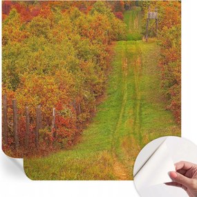 Modern öntapadós fotótapéta Mosható Őszi színek 250x250 cm