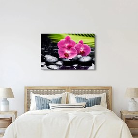 Kép - Rózsaszín orchidea pálmalevéllel (90x60 cm)