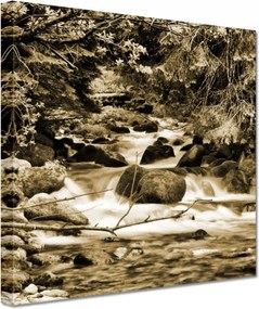 Vászonkép 60x60 Tátra Lengyel hegyek Kilátás