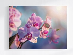 Vászonkép Canvas Zen Virág Orchidea Természet 80x60