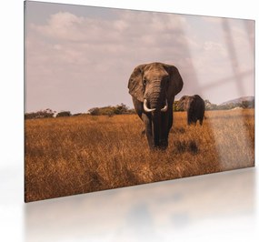 Kép - Az elefánt érkezése (üvegen) (70x50 cm)