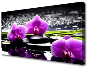 Vászonkép falra Virág orchidea növény 120x60 cm