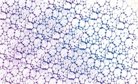 Fotótapéta Árnyékok Absztrakt Geometria Kerek motívumok Háló 300x210 +ragasztó