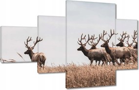 Vászonkép 130x80 Szarvascsorda Szarvak