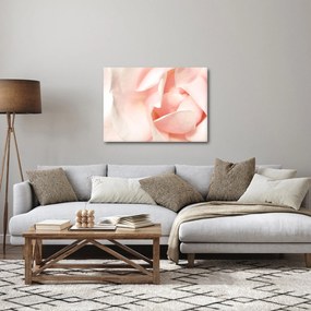 Kép - Rózsák (70x50 cm)