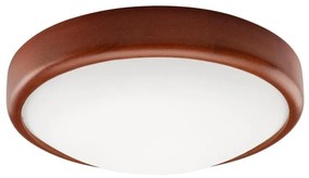 LED mennyezeti lámpa 1xLED/12W/230V