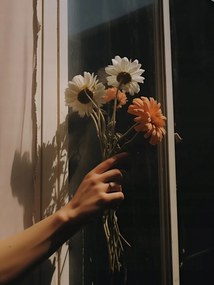 Poszter 60x80cm Sugár és szirmok