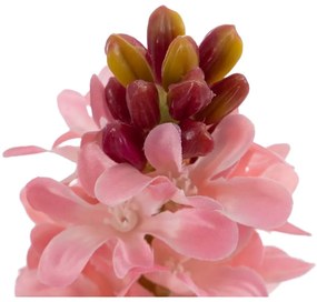 Műnövény (magasság 29 cm) Hyacinth – Ixia