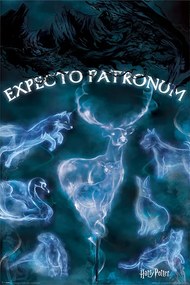 Plakát Harry Potter - Patrónus, (61 x 91.5 cm)