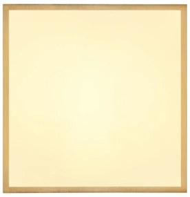 Globo 12382-22 - LED Mennyezeti lámpa TIBEY LED/22W/230V 35x35 cm