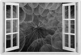 Poszterek 60x40 Pitypang Virág Virágok