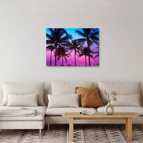 Kép - Pálmafák Miamiban (70x50 cm)