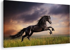 Kép - Lovak (90x60 cm)