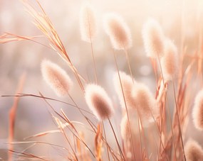 Poszter 76x60,5cm Napvirágok