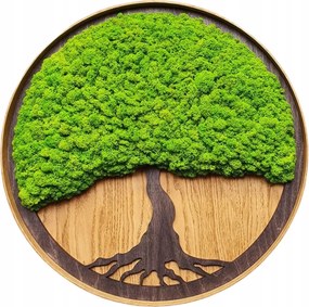 Moha kép Moha Krobot Tölgyfa keretben nagy 50cm Élő Fa kép XL