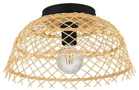 Eglo 43831 - Mennyezeti lámpa AUSNBY 1xE27/40W/230V