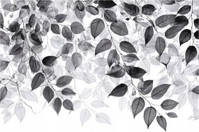 Fotótapéta Levelek Fekete-fehér Falra Akasztható Hálószoba Nappali 300x210