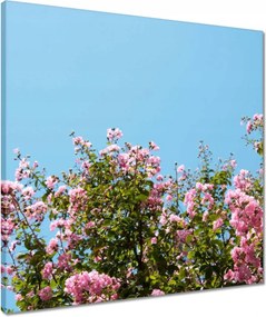 Vászonkép 50x50 Virágok