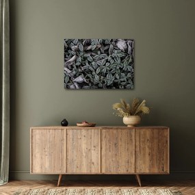 Kép - Fagyasztott növények (70x50 cm)
