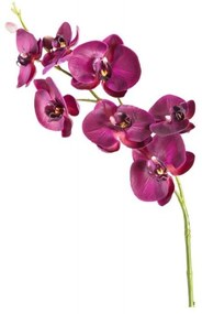 LEONARDO FIORE orchidea 85cm lila
