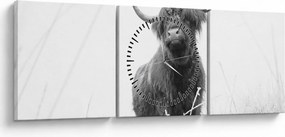 Kép - Skót tehén 4, fekete-fehér (órával) (90x30 cm)
