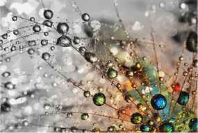 Fotótapéta Flizelin Dekoratív Hálószoba Rosa drágakövek 104x70 Ragasztó