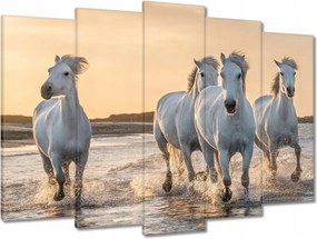 Vászonkép 70x50 Vad lovak Wild Horses