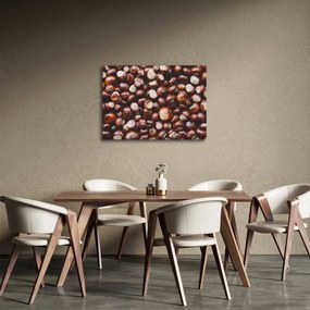 Kép - Érett gesztenye (70x50 cm)