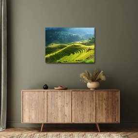 Kép - Rice Terraces koncert (70x50 cm)