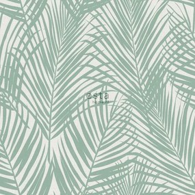 Divatos Fali Tapéta Trópusi Pálmalevelek