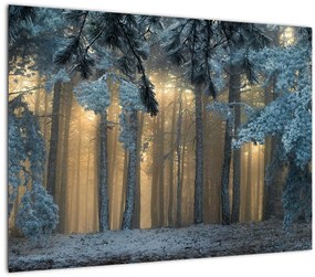 A havas erdő képe (üvegen) (70x50 cm)
