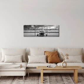 Kép - Repülőgép fekete-fehér (órával) (90x30 cm)