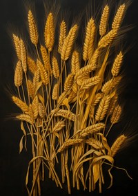 Poszter 70x100cm Arany aratás