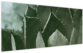 Kép - Zöld agávé (120x50 cm)