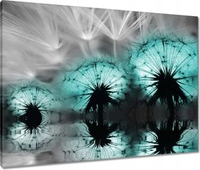 Vászonkép 80x60 Türkiz pitypangok