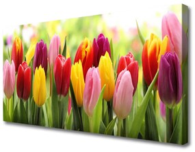 Vászonfotó Tulipán virágok természet 100x50 cm