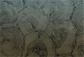 Flizelin tapéta Divatos 3D fali ragasztó Fa tégelyek 104x70 Ragasztó