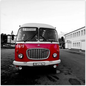 Poszterek 140x140 Piros szarvas uborka