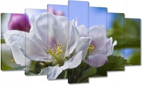 Vászonkép 140x80 Almafa virág