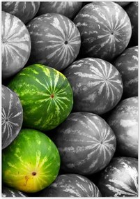 Poszterek 70x100 Három színes görögdinnye